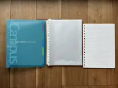 Item thumbnail for item 6720a1ff-d941-4654-8efb-eb4b3091e1f8