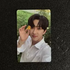 straykids チャンビン トレカ