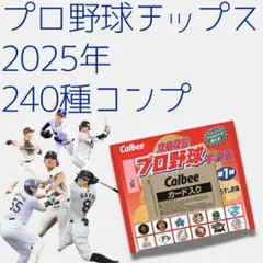 カルビー　プロ野球チップス　2025年　第1弾 第2弾　全240種　フルコンプ