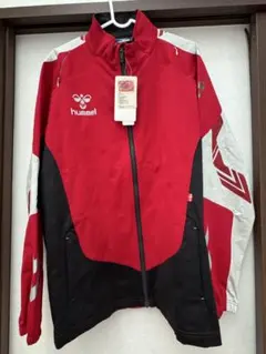 Item thumbnail for item 590614ab-3237-4498-abf1-f4a73594cd20