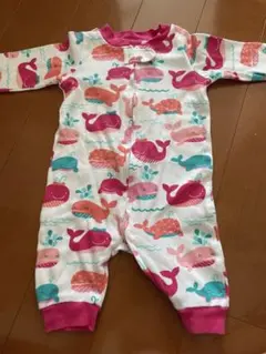 koala baby 3month 60のサムネイル