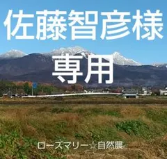 佐藤智彦様 リクエスト 2点 まとめ商品