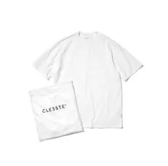 Item thumbnail for item f496f4a9-a141-481c-9574-c0d842a042b9