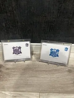 遊戯王 決闘者伝説25th 東京ドーム 入場特典　2枚セット　封筒付