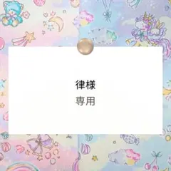 律様専用【巾着/ランチョンマット】ハンドメイドオーダー