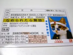 【なめ猫 免許証風 ブロマイド 又吉】なめんなよ猫 なめねこ ゴールド免許 癒し
