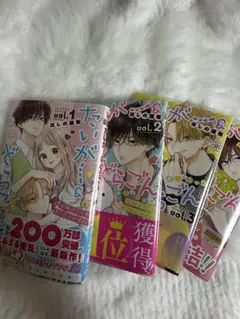 たいがー＆どらごん 少女漫画 ほしの瑞希