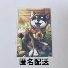 にじさんじ コレクションカード 黒井しば