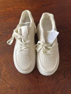 Item thumbnail for item ec09bfcf-5495-479e-a649-b238648c2490