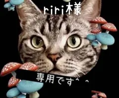 riri様 リクエスト 2点 まとめ商品