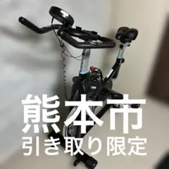 pooboo スピンバイク 16kgフライホイール マグネット式【引き取り限定】