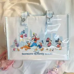 上海ディズニーランド ショッピングバッグ カバー　S