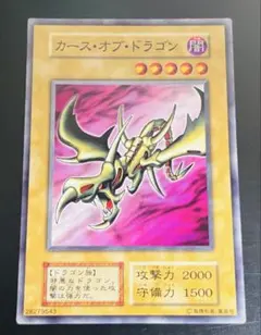 遊戯王 初期 カース・オブ・ドラゴン×1 アジア版