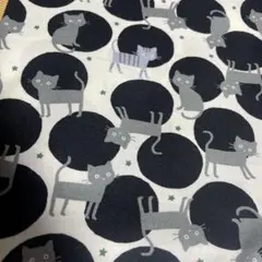 Item thumbnail for item 3cd3bf57-0182-45d5-9835-d4f121a143bf