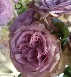 かおりんご様 リクエスト 2点 まとめ商品