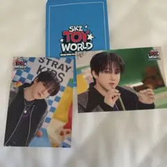 スキズ StrayKids チャンビン TOYWORLD ラントレ