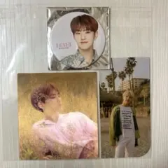 ホシ 缶バッジ レンチキュラー ブックマーク まとめ売り サマー ヘンガレ