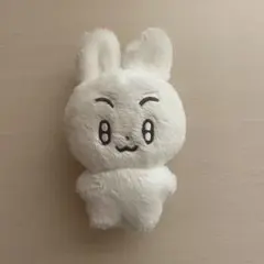 SEVENTEEN ジョンハン マスター ぬいぐるみ - メルカリ