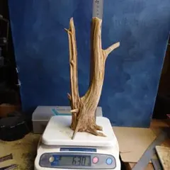 Bacchus-バッカス様 リクエスト 5点 まとめ商品