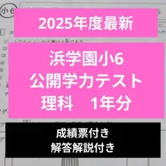 2026年最新】浜学園公開テストの人気アイテム - メルカリ