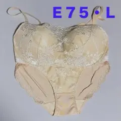 トリンプ アモスタイル AMST1489 E75・Lサイズ