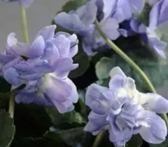 ポラリス様 リクエスト 3点 まとめ商品