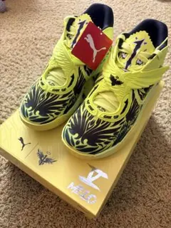 Nike バスケットシューズ ハイカット 1World Peopleサイン入り - メルカリ