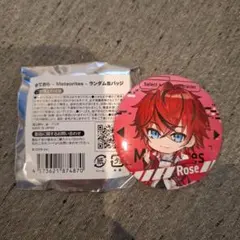 2025年最新】めておら 缶バッジ ロゼの人気アイテム - メルカリ