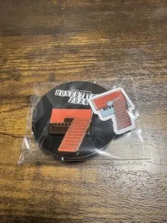 NAOTO HONEST TOWN プレミアムカプセル ピンバッジ ステッカー