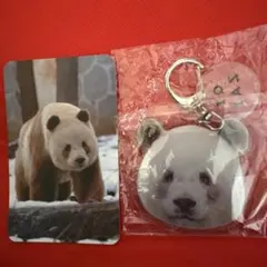 こたあず様 リクエスト 2点 まとめ商品