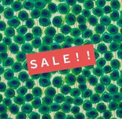 ＳＡＬＥ！！リバティ♡タナローン♡ザンジーサンビーム　YE♡４m♡