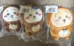 たぬきだもんくじ　B賞コンプリートセット