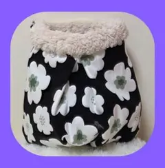 Item thumbnail for item 81b99131-dc6e-4a90-86c9-359f1c3f8e33