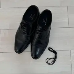 Item thumbnail for item ee65cf6b-479a-40c6-8766-aad82a4f3b43