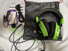 Item thumbnail for item 0349e5b9-b1af-4f11-8d19-1f84d8455797