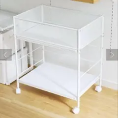 ‼️本日限定価格‼️