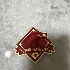 Item thumbnail for item 9afc4f34-96f0-4e1c-9540-8591796de236