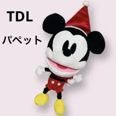 東京ディズニーリゾート スーパードゥーパージャンピンタイム かえるの