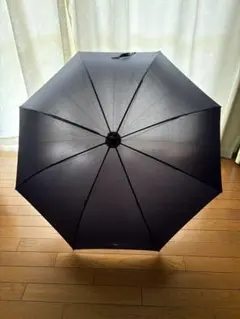 しーちゃん しぃちゃん 完全遮光 100% 晴雨兼用日傘 日傘 遮光100
