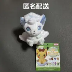 2026年最新】ポケモンセンターオリジナル ポケモンドールズ アローラ