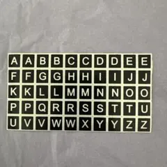 Item thumbnail for item 58b3b92f-177d-4315-8157-d1b3f0ad2a91