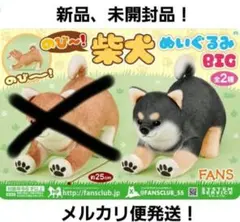 FANS のび～！ 柴犬 ぬいぐるみ BIG 黒柴 犬
