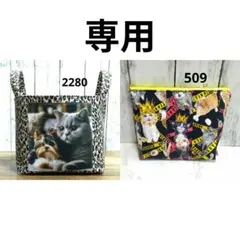 Item thumbnail for item 4e257985-dfff-4f51-8b43-9e9e93428fbe