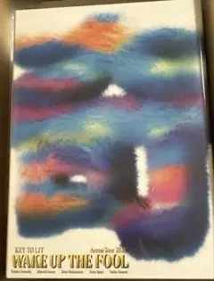 KEY TO LIT WAKE UP THE FOOL DVD - メルカリ
