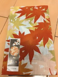 Item thumbnail for item 5c3a26cc-0fcf-4c30-a2c7-394842f23bcb