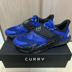 curry 27.5