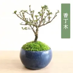 Luna様 リクエスト 3点 まとめ商品