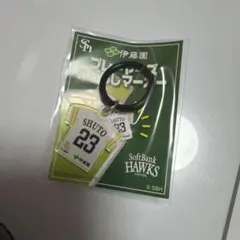 周東佑京 めじるしマーカー
