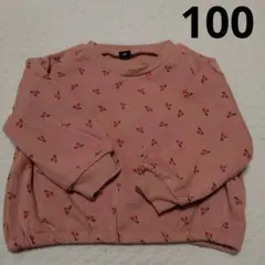 グリンラボ　トレーナー　裏起毛　100