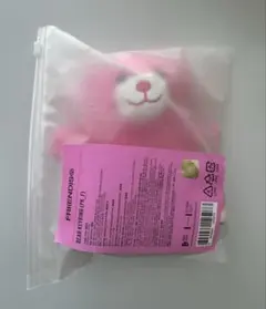 BTS テテ FRIENDS Bear Keyring